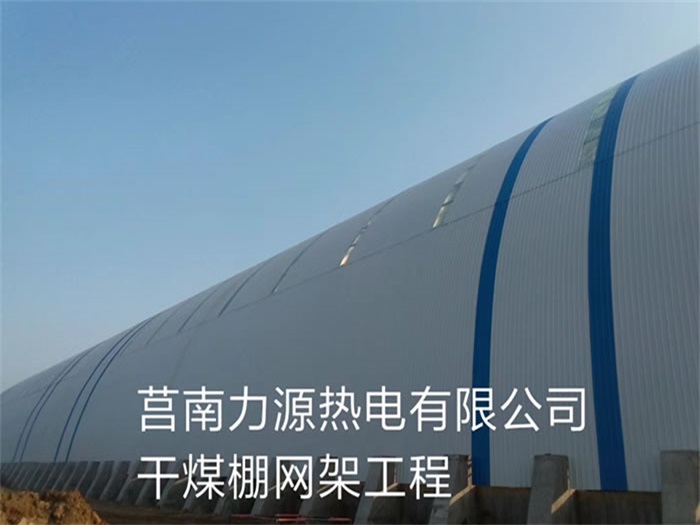 肇东力源热电有限公司干煤棚网架工程